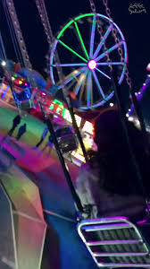 IMG_1250.jpeg