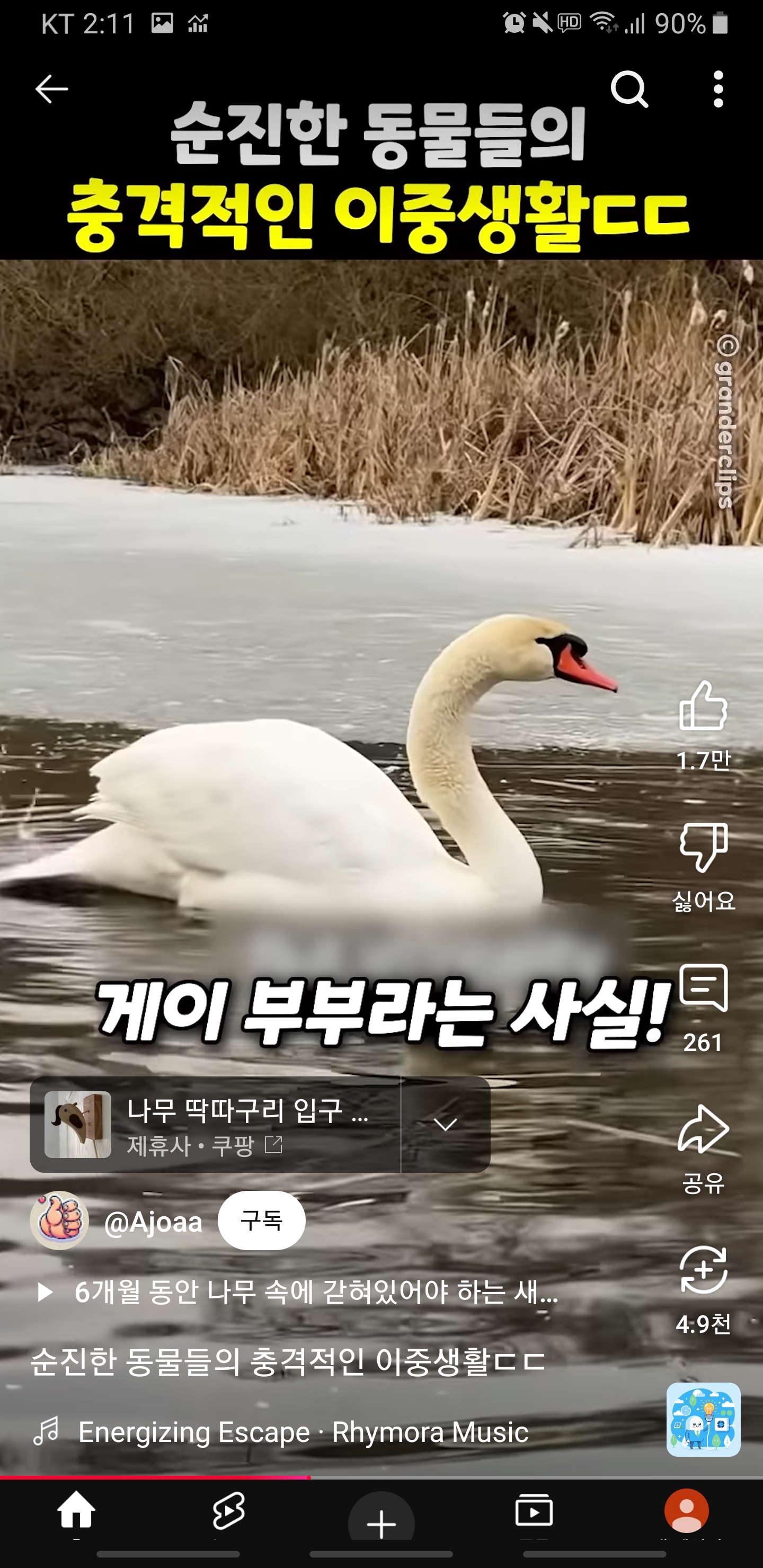 Screenshot_20250417-141144_YouTube.jpg