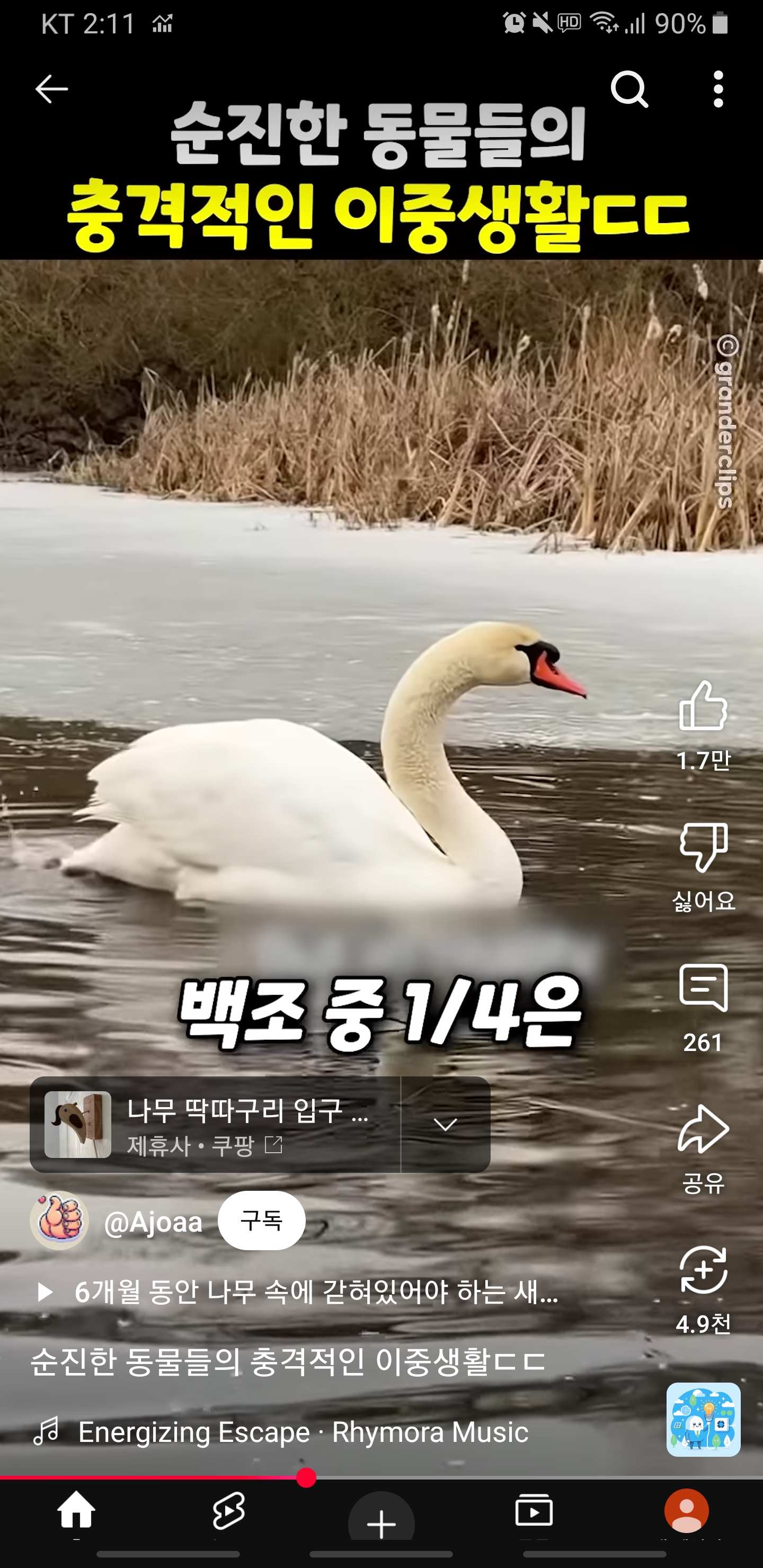 Screenshot_20250417-141137_YouTube.jpg